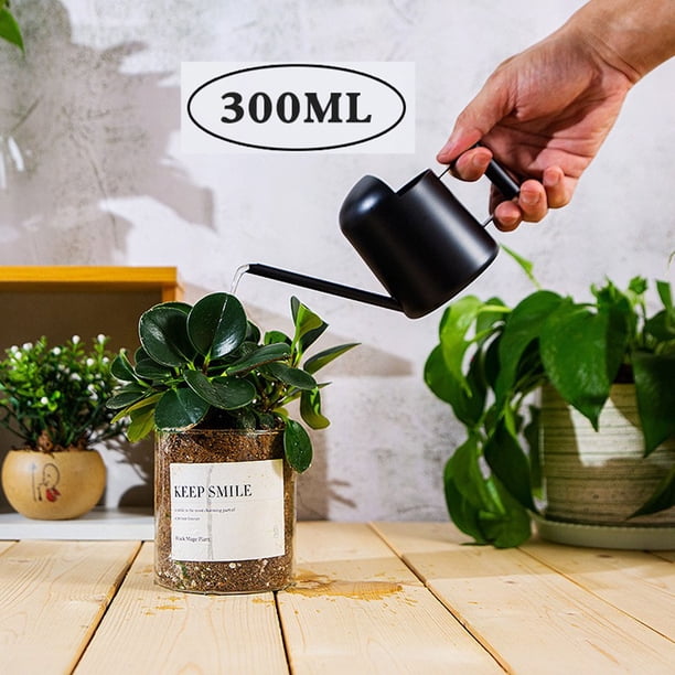 Regadera de Acero Inoxidable - Regadera Metálica con Boquilla Larga para Evitar Derrames, Ideal para Plantas de Interior y Exterior.