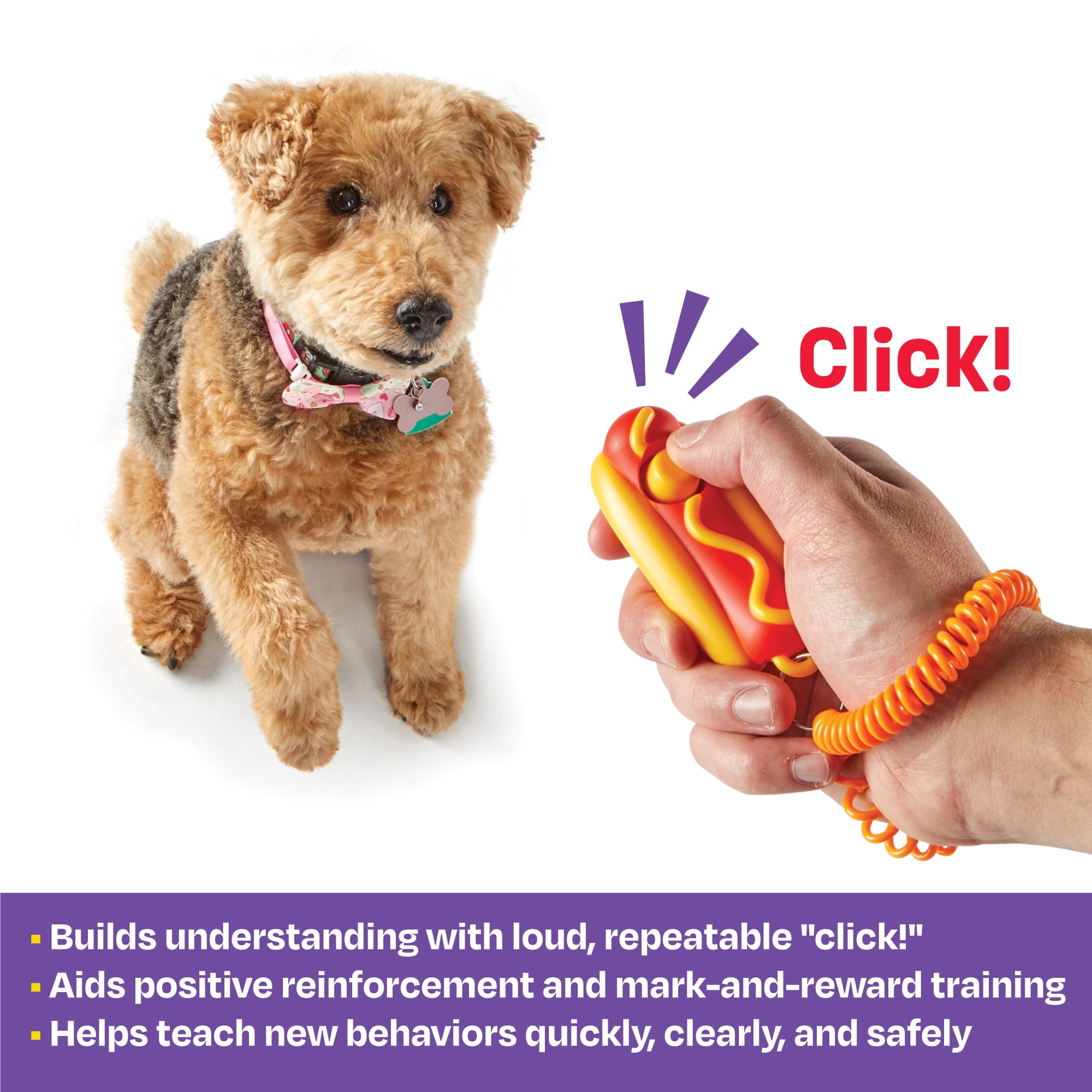 Brightkins Smarty Pooch Hot Dog Training Clicker with Wrist Strap, Pet Behavior Reinforcement for Dog and Puppy