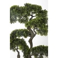 thumbnail image 2 of Vintage Home Bonsai in Pot (VHX140203), 2 of 5