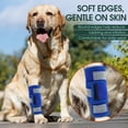 thumbnail image 4 of Kuoser Dog Front Leg Brace, Adjustable Carpal Support Wrap for Canine Joint, Wound Recovery & Anti-Licking Sleeve, Blue, XXS/XS, 4 of 8