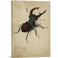 thumbnail image 1 of ARTCANVAS Stag Beetle 1505 Canvas Art Print by Albrecht Durer - Size: 18" x 12" (1.50" Deep), 1 of 9
