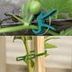 thumbnail image 5 of 60 Pieces Garden Support Clips, Plant Clips, Plant Support Clip with 30 Pieces Adjustable Plant Ties, Stable Clamps for Securing Climbing Plants(30 La, 5 of 5