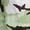 light green, variant on Women's Camo Print Capris, Elastic Waist Straight Leg Casual Cropped Pants