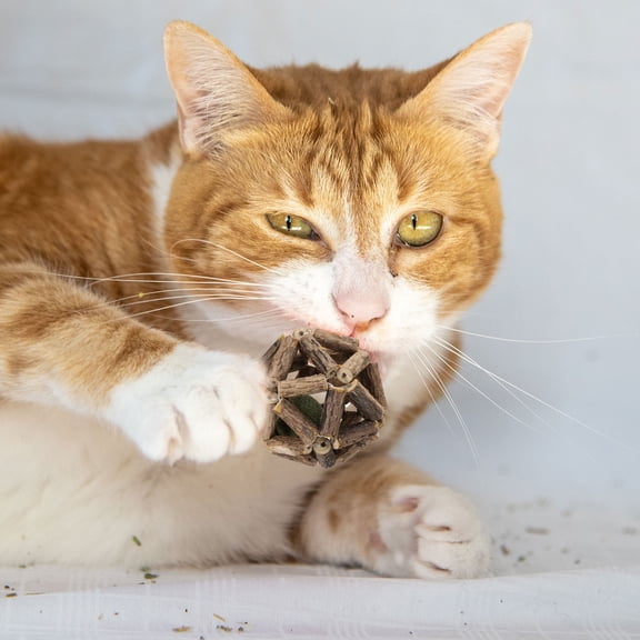 3" Universal Catnip Balls Natural Silvervine Stick Cage Ball