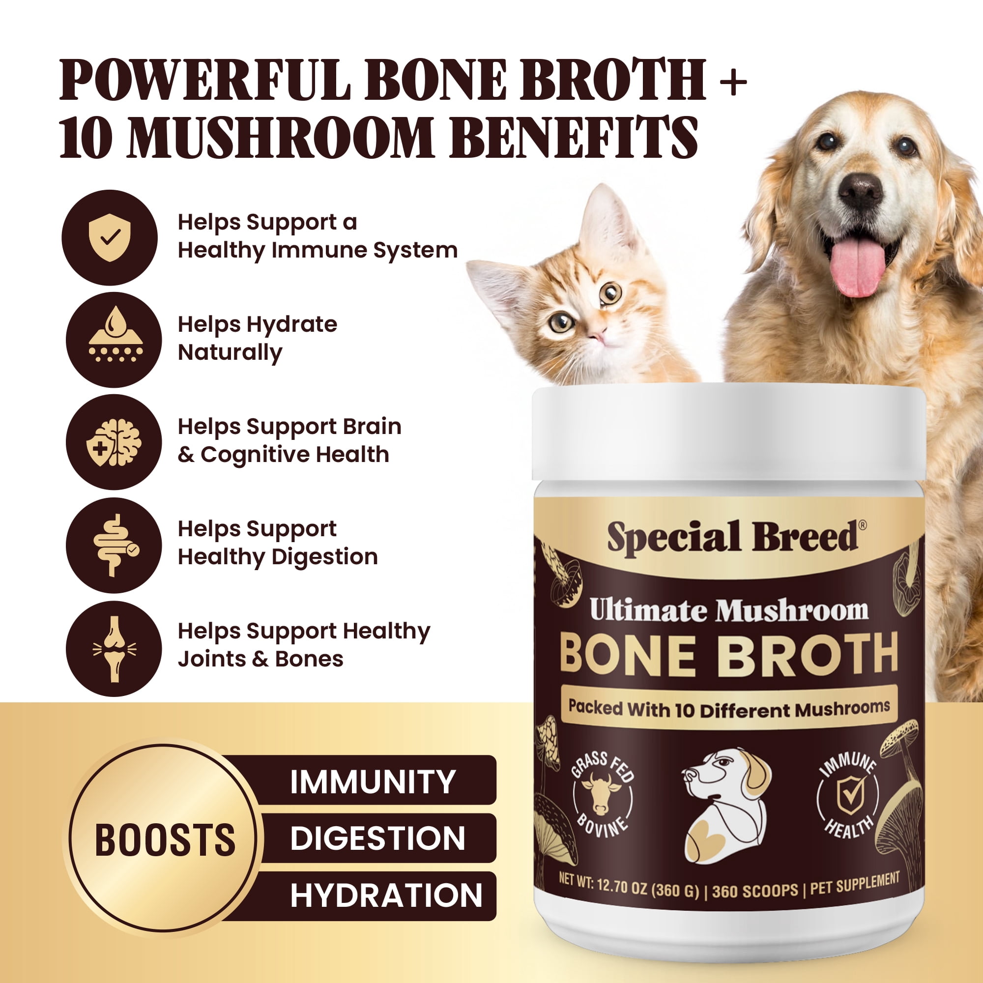 Beef Bone Broth for Dogs - High Protein Powder with Ten Organic Mushrooms & Collagen - Immune, Joint, Digestion & Cognitive Support - Tasty Dog Food Topper - Natural Hydration Booster