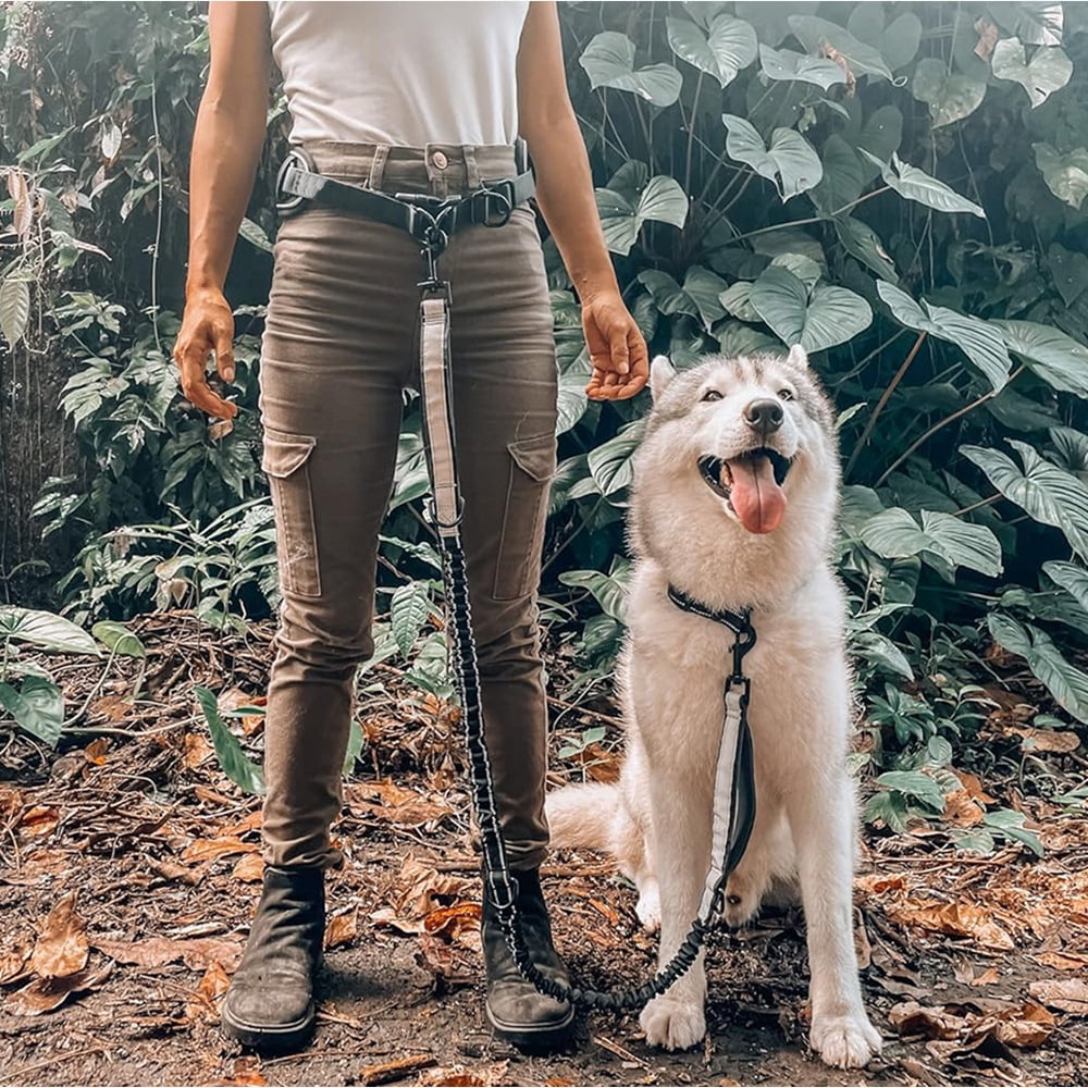 Tuff Mutt Hands Free Dog Leash for Walking Running Hiking, Waist Leash with Bungee, Adjustable Belt, Reflective Double Handle Design for Large Medium Dogs