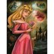 thumbnail image 1 of Cuadros Decorativos 5D bricolaje taladro redondo completo diamante pintura princesa Aurora Kit decoración del hogar(5) Wdftyju de costura negro 4 estilos, 1 of 9