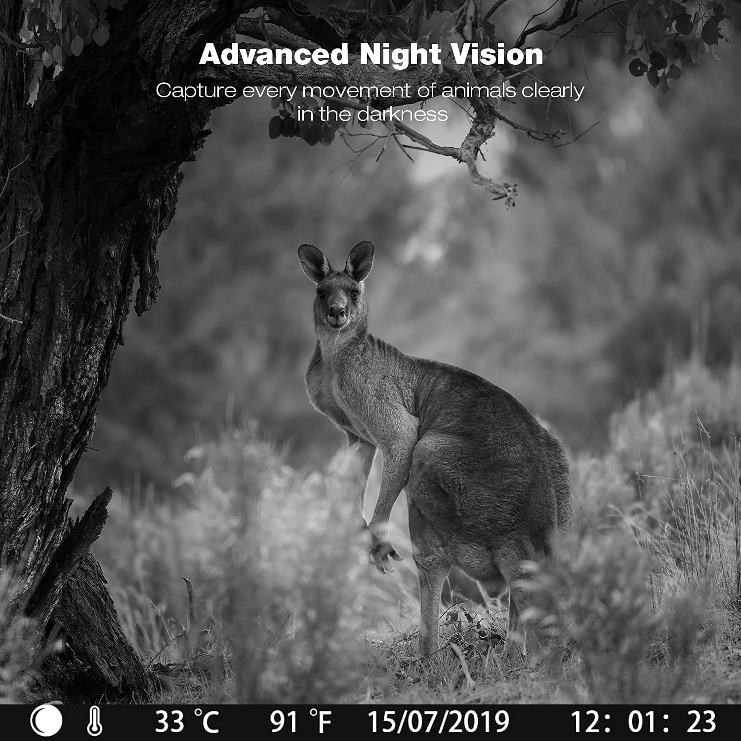 CAMPARK 2 PACK Trail Camera 36MP 2K Hunting Game Camera with Infrared Night Vision Motion Activated Waterproof Deer Trail Cam for Wildlife Monitoring