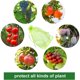 thumbnail image 2 of 100pcs Green Organza Grape Protection Bags, 30x20cm, with Drawstring - Compatible with Vineyards, Protects Against Birds and Wasps, 2 of 5