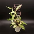thumbnail image 4 of Small Plant Trellises For Climbing Plant, Metal DNA Shape Garden Potted Trellises Plant Support Stake For Potted Plants, Houseplant Garden Plant Lover Gifts, 4 of 4