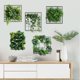 thumbnail image 2 of Adhesivos de pared creativos con plantas tropicales de vid y vegetación, 2 of 3