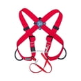 thumbnail image 2 of Arnés de Seguridad para Escalada en Campamento Estilo Rojo 50-120 cm Perfecl, 2 of 8