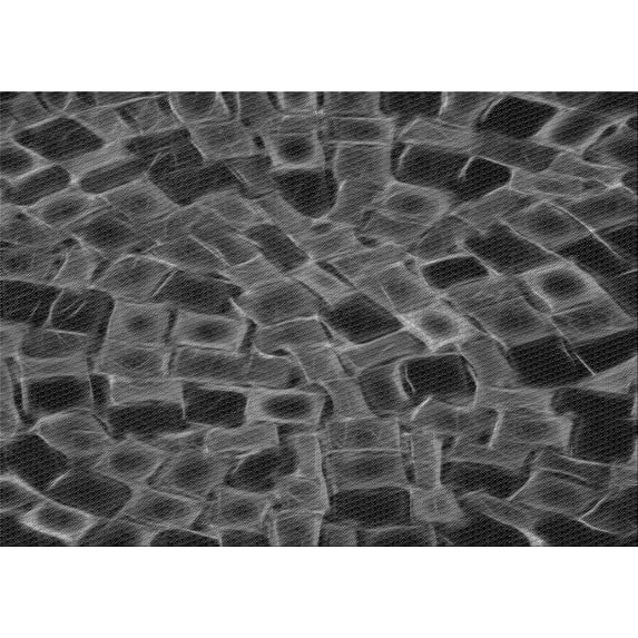 Ahgly Company Machine Washable Indoor Rectangle Transitional Charcoal Black Area Rugs, 2' x 5'
