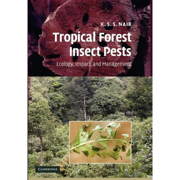 Tropical Forest Insect Pests: Ecology, Impact, and Management, (Paperback)
