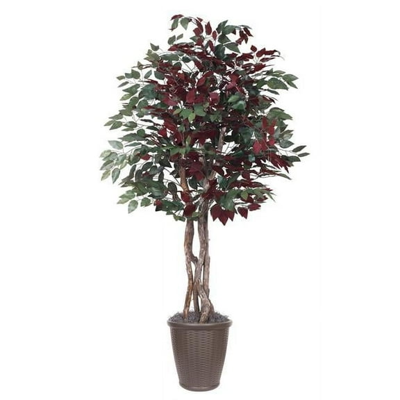 Vickerman TEX0360-RB 6 ft. Capensia Executive Round Plastic Container Tree, Brown