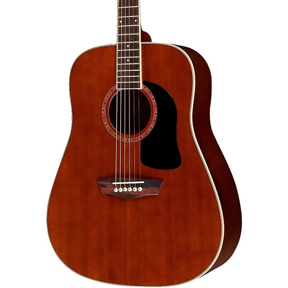 Washburn Guitars Dreadnought 25 in Acoustic Guitar, Natural