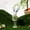 🔥 Green, variant on Msgweeeg Easter Easter Decorations for Office Easter Bunny Ornament Home Large Flower Bunny Figurine Desktop Decoration
