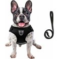 thumbnail image 1 of Jinsinto Corde de Traction Réglable pour Harnais pour Chien (Noir L), 1 of 2