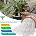 thumbnail image 3 of 6 Quarts Organic Horticultural Perlite for Plants Indoor- Natural Horticultural Soil Additive Conditioner Mix for Improves Drainage, Ventilation and Root Growth, 3 of 7