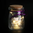 thumbnail image 4 of Bouteille Love Wish avec 52 Notes & Guirlande Lumineuse - Cadeau d'Anniversaire, 4 of 7