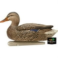 thumbnail image 6 of AVIAN-X Topflight Open Water Duck Durable Realistic Hunting Floating Mallard Decoys, Pack of 6, AVX8061, 6 of 10
