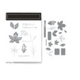 thumbnail image 1 of Sellos transparentes y troqueles cortados, decoración de diario, álbum de recortes, plantilla de Navidad, sellos, troqueles artesanales, nuevo catálogo, 2024, 1 of 4