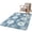 Blue, variant on Runner Rug 2.62'x5.25', Coastal Ocean Non Slip Backing Floor Mats Soft Area Rugs, Absorbent Muddy Dirt Trapping Carpet for Entryway Hallway Kitchen Bedroom Nautical Beach Sand Dollars Brown