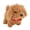 Brown, variant on Riousery Electronic Plush Puppy Dog Toy, Fluffy Cute Interactive Robot Dog for Children Above 3 Years Old, Moving and Barking Electronic Pet for Kids, White (6.3 inches / 16 cm)