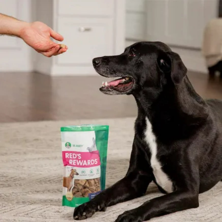 Dr. Marty Red's Rewards 100% Freeze-Dried Raw Pork Liver Dog Treats, Single-Ingredient, Grain-Free, High-Protein, 8 oz