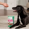 thumbnail image 4 of Dr. Marty Red's Rewards 100% Freeze-Dried Raw Pork Liver Dog Treats, Single-Ingredient, Grain-Free, High-Protein, 8 oz, 4 of 8