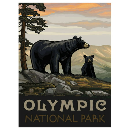 Olympic National Park Washington Black Bear Family Travel Art Print Poster by Paul A. Lanquist (9