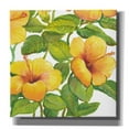 thumbnail image 1 of Epic Graffiti 'Watercolor Hibiscus IV' by Tim O'Toole, Canvas Wall Art, 26"x26", 1 of 2