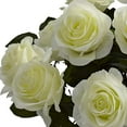 thumbnail image 2 of Nearly Natural 1351-WP Roses with colored glass Vase, White Purple,675 x 225 x 675, 2 of 3
