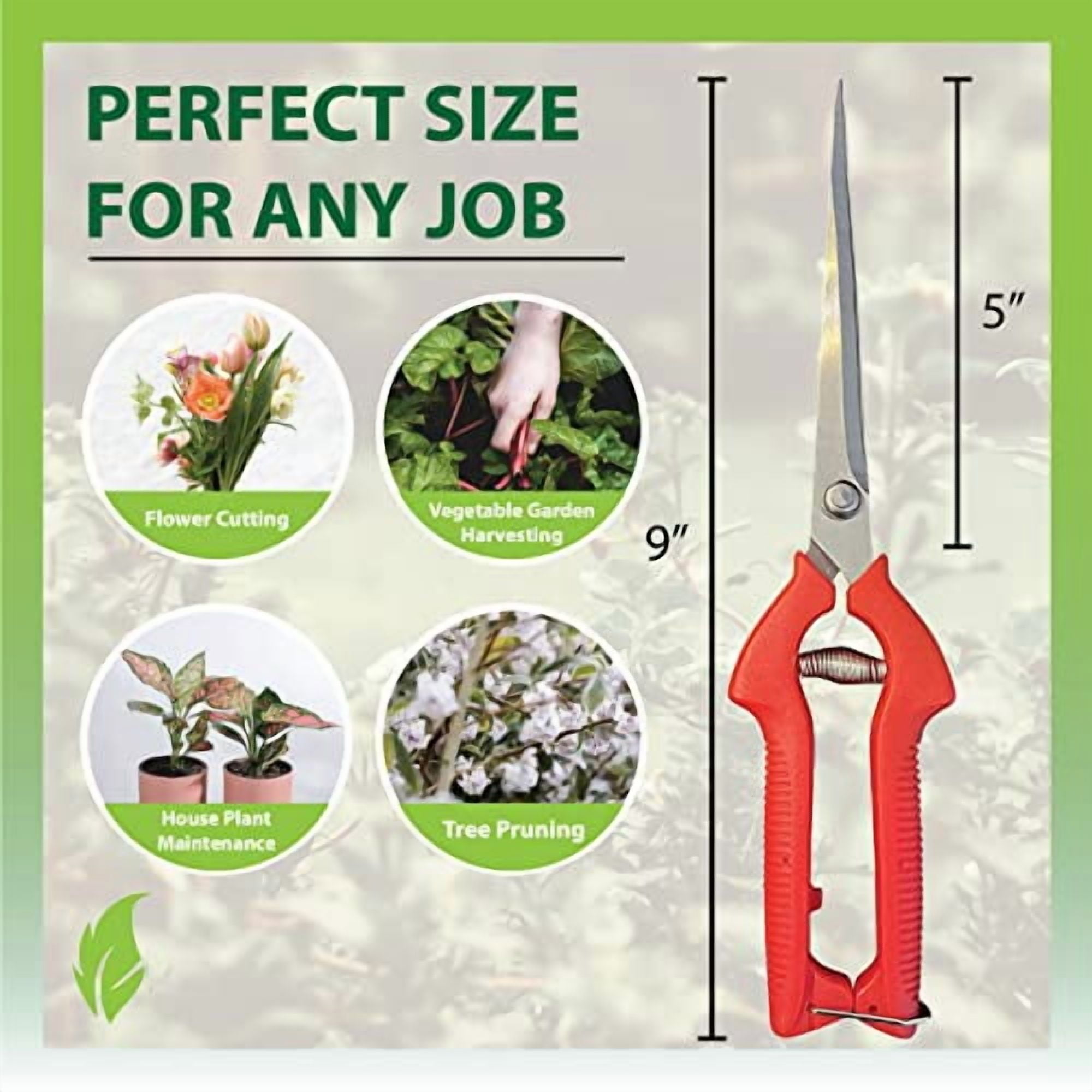 GARDEN GURU Extra Long Stainless Steel Pruner Pruning Shears Clippers Snips Sharp Bonsai Cutter Plant Trimming Scissors Straight Blade Garden Scissors Tool Great for Roses Flowers Herbs Fruits (2)