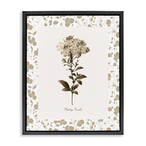 Stupell Industries Neutral Imperial Botanical Black Framed Floater Canvas Wall Art, design by Kelly Donovan