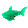 thumbnail image 5 of HEXBUG AquaBot Robotic Clown Fish, 5 of 11