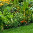 thumbnail image 4 of CTIRCHIU 3Ud Marco Metálico Para Plantas Trepadoras Soporte Para Macetas Indoor Outdoor Color, 4 of 8