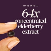 Natures Way Sambucus Elderberry Immune Gummies, with Vitamins C, D3, Zinc, Unisex, 60 Count