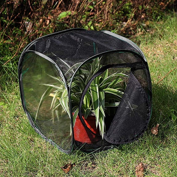 Foldable Cage House Plants Glass Containers Caterpillars Habitat Cage Mesh Cage Outdoor Habitat Breathable Observation Cage Breeding Cages Outdoor Butterflies Cage