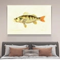 thumbnail image 4 of Póster de pintura de peces, pintura decorativa, lienzo, arte de pared, carteles para sala de estar, pintura para dormitorio, estilo marco, 12 x 18 pulgadas (30 x 45 cm), 4 of 8