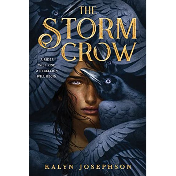 Pre-Owned The Storm Crow (Paperback) 1728206979 9781728206974