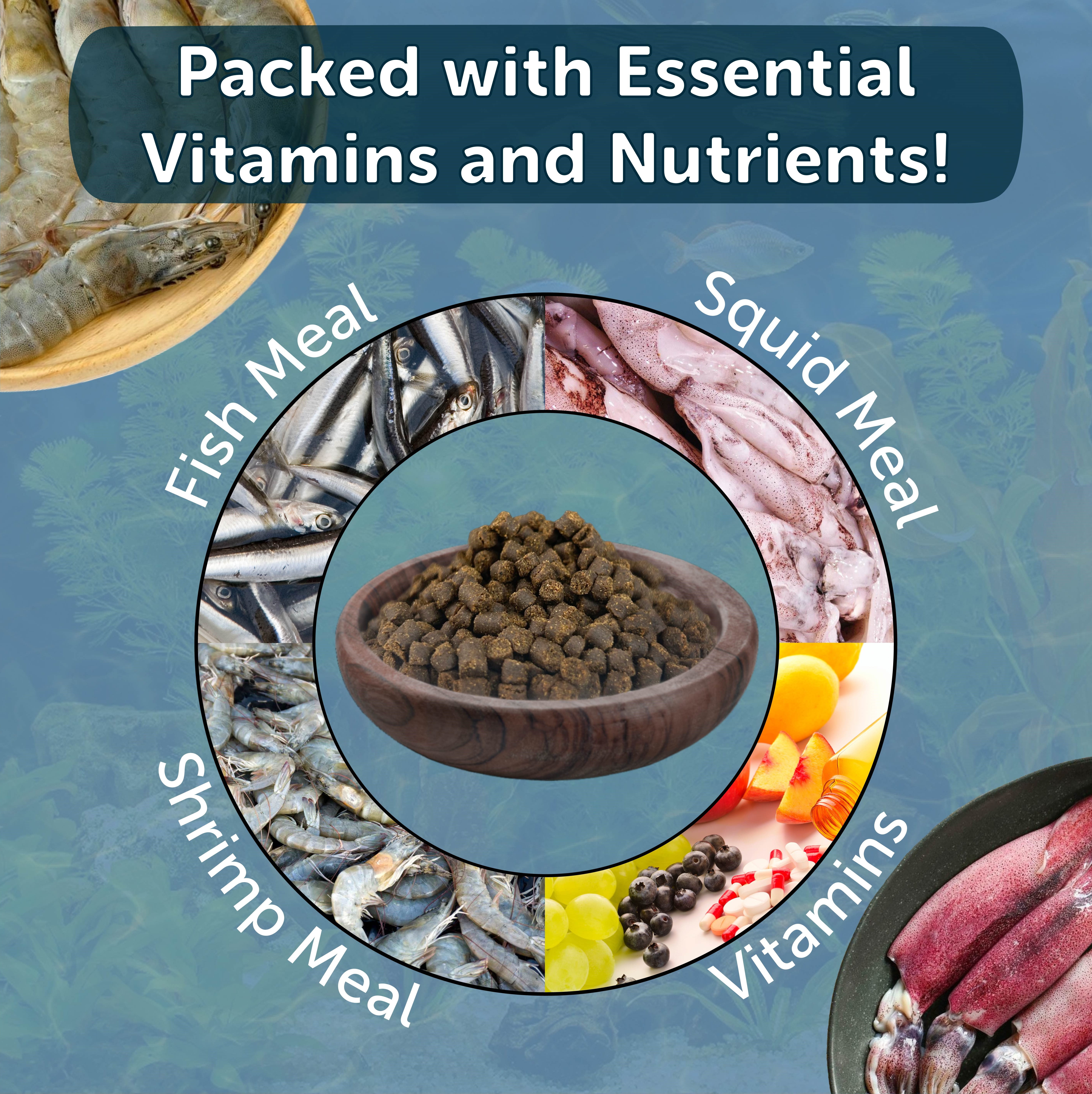 Axolotl Food 3/16" Soft Moist Sinking Rangen Salmon Pellets for Adult Axolotl also Shrimp, Snails, Crabs, Crayfish, Bottom Tropical Fish...2-lb Med Jar
