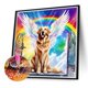 thumbnail image 2 of 5D DIY Con Taladro Arte Golden Retriever 40x40cm, 2 of 7