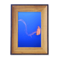 thumbnail image 1 of Ocean Jellyfish Science Nature Picture Photo Frame Exhibition Display Art Desktop Painting, 1 of 3
