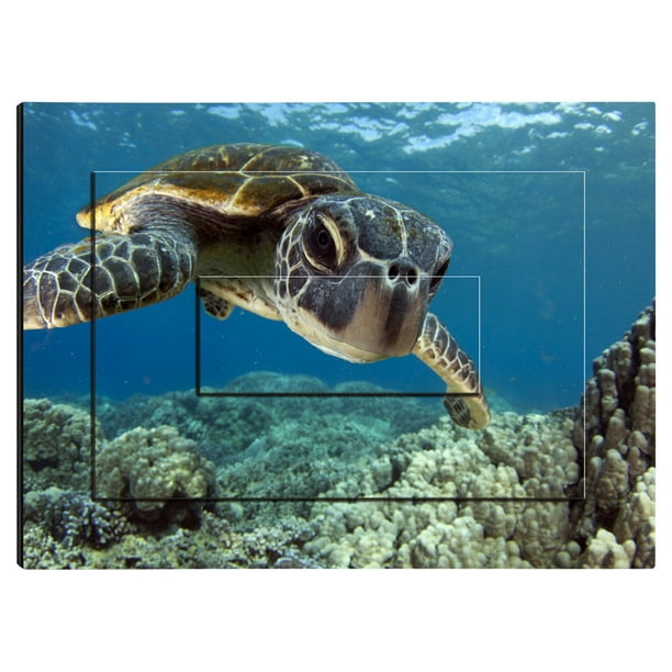 Hashtagdecor Swimming Turtle Layered Three Panel Print On Wood Wall Art Com - Sea Turtle Wood Slat Wall Art Hashtagdecor Swimming Turtle Layered Three Panel Print On Wood Wall Art Com - Sea Turtle Wood Slat Wall Art
