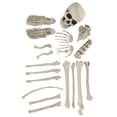 thumbnail image 4 of Bag of Bones Halloween Decoration, 4 of 5