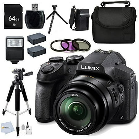 Panasonic LUMIX DMC-FZ300K 4K FZ300, Point and Shoot Camera with Leica