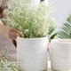 thumbnail image 2 of Cestas Para Plantas Colgantes Cuerda Tejida Cesta De Almacenamiento Decoración Rústica Para El Hogar Methold HA042841-01, 2 of 6