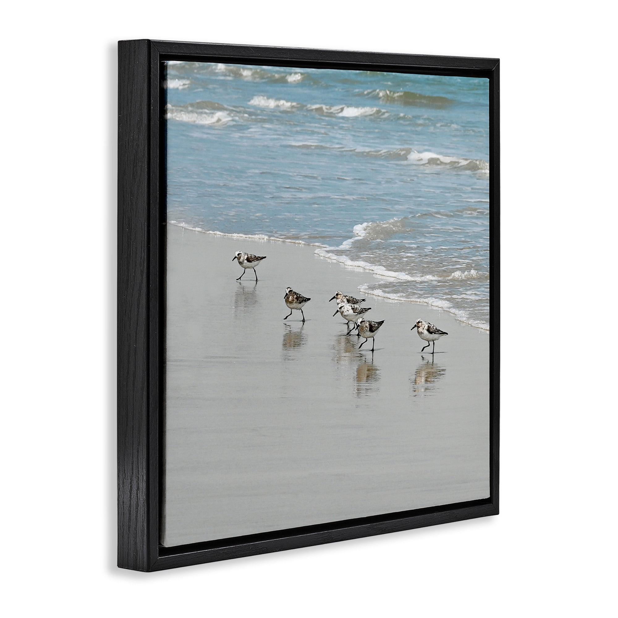 Stupell Industries Sandpipers on Shore Reflection Nature Painting Black Floater Framed Canvas Art Print Wall Art, 25 x 25