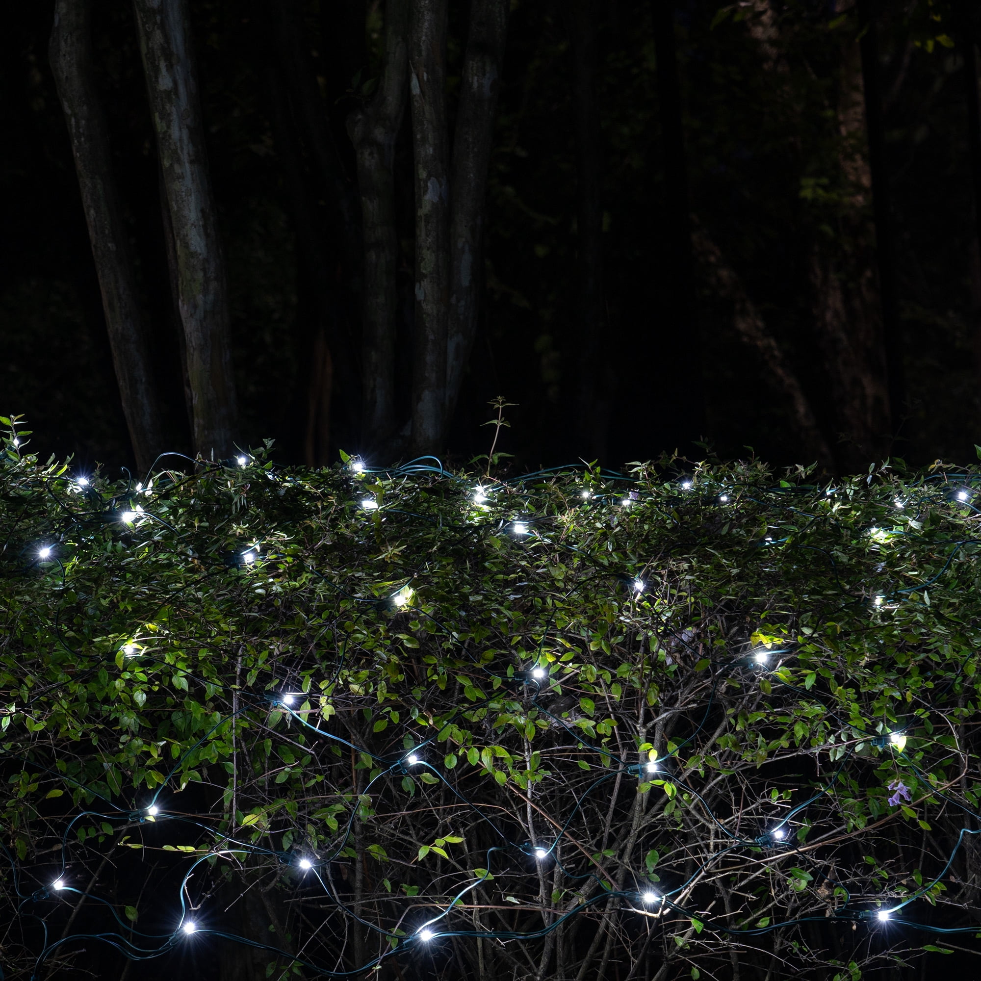 SoftTwinkle 4' x 6' Cool White LED Christmas Net Lights Net Style Mini Lights for Outdoor Party Wedding – Green Wire